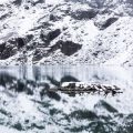 Sauberkeit ist das halbe Leben: Wie Jungfrauen typisch deutsche Haushaltsrituale prägen