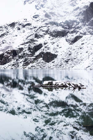Sauberkeit ist das halbe Leben: Wie Jungfrauen typisch deutsche Haushaltsrituale prägen
