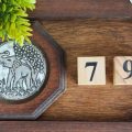 Interkulturelle Beziehungen in Deutschland und das 7. Haus: Herausforderungen und Chancen