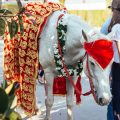 Die besten deutschen Rituale zur Sternzeichen-Feier: Monatsrückblick mit Traditionen