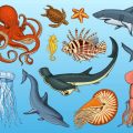 Aszendent in Kombination mit Fische: Intuition zwischen Romantik und Bodenständigkeit