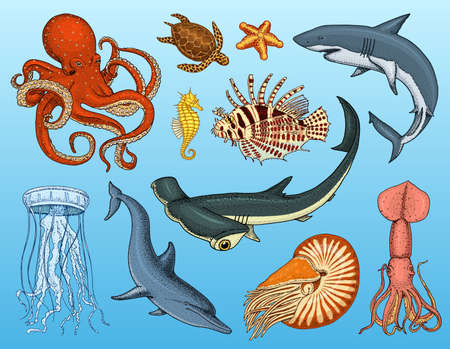 Aszendent in Kombination mit Fische: Intuition zwischen Romantik und Bodenständigkeit